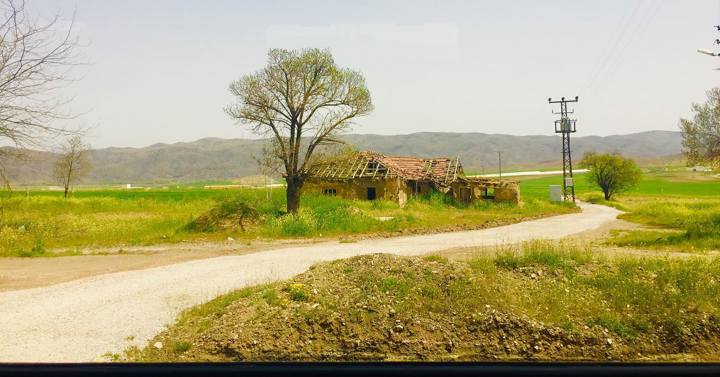 Şimdi yeşillenmişti oralar